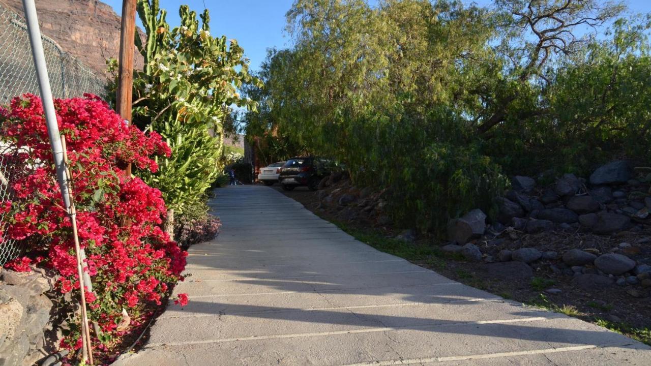 Casita La Palmera バジェ・グラン・レイ エクステリア 写真
